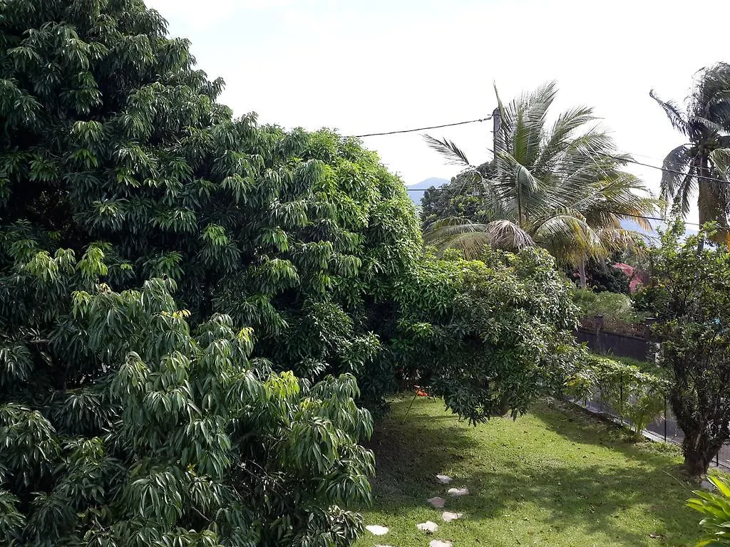 Appartement Les Bougainvilliers Vue Mer Saint-Claude
